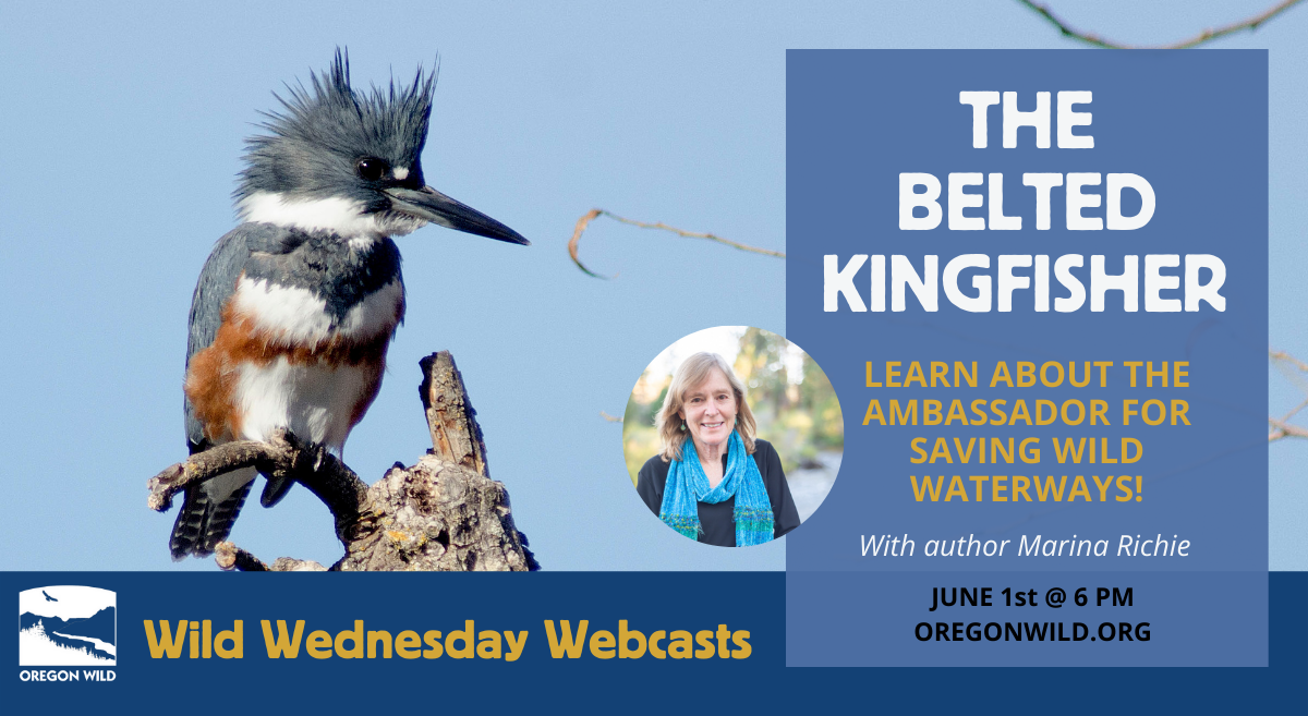 belted kingfisher and author Marina Richie
