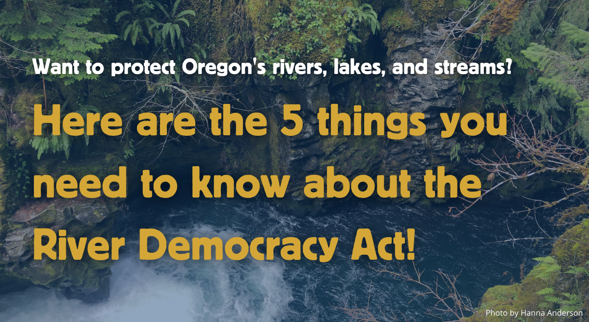 Here are the 5 things you need to know about the River Democracy Act
