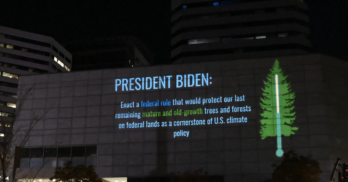 Message projected on a building: Biden protect our old-growth forests