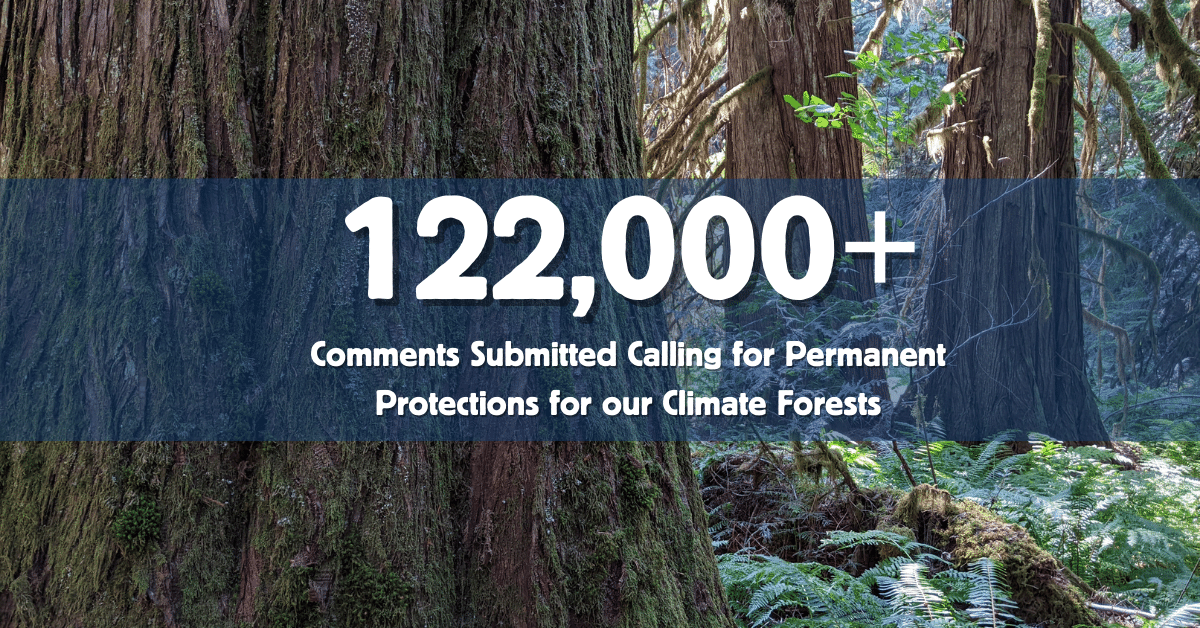 122,000+ comments submitted calling for permanent mature and old-growth protections