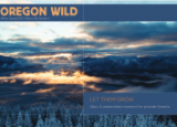 Oregon Wild Winter Spring Newsletter 2022 - an expansive landscape, snow covered trees and low clouds, the Willamette National Forest