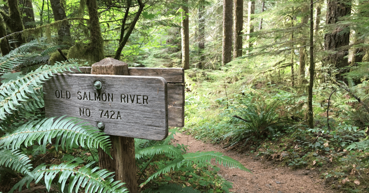 Wooden trail sign "Old Salmon River" beside a trail, photo by Chandra LeGue