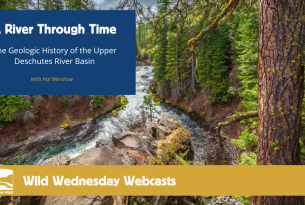 Webcast: A River Through Time - The Upper Deschutes Rive -  A River runs from the top of the image to the bottom surrounded by green trees and a large rocky outcropping in the foreground